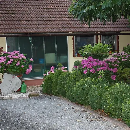 Apartment Fam. Höhn Kappel-Grafenhausen